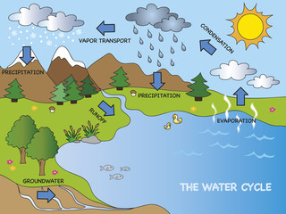The Water Cycle diagram